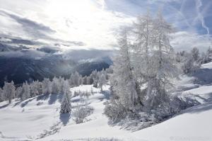 Obernbergtal im Winter Winter