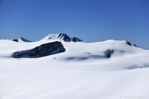 Gepatschferner mit Hint. Hintereisspitze und Hoch Vernagl Wand