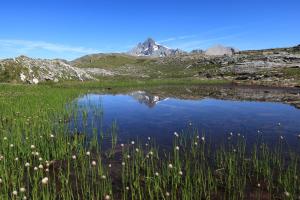 Bergsee mit Großglockner