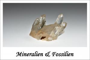 Mineralien & Fossilien